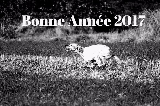 des Pays de Loire - Bonne Année 2017