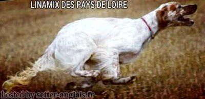 des Pays de Loire - LINAMIX DES PAYS DE LOIRE