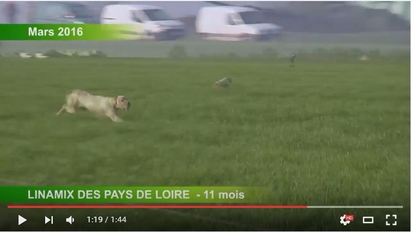 des Pays de Loire - Nouvelles vidéos 2016