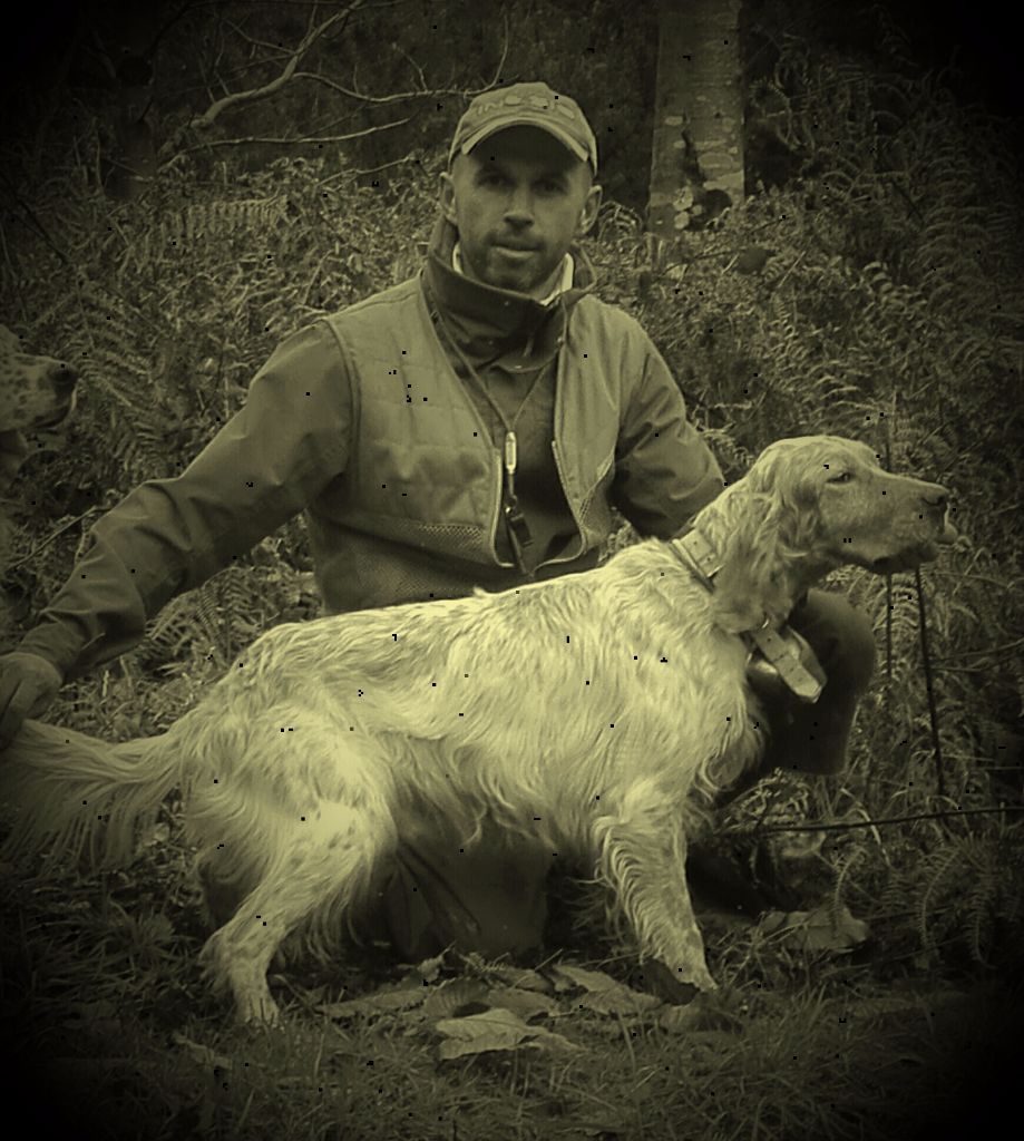 des Pays de Loire - 08.12.2017_Field sur Bécasse de Bois Meur