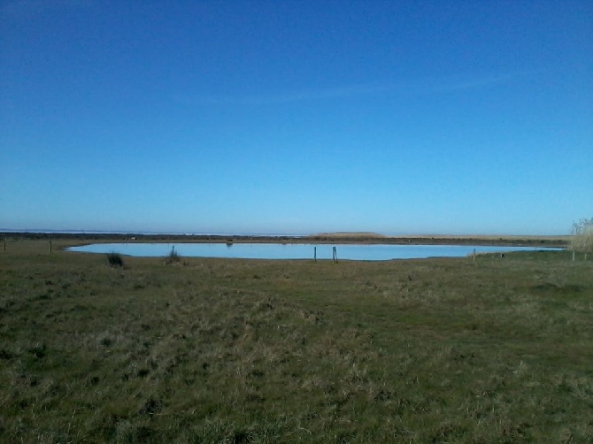 des Pays de Loire - Printemps 2015 sur Bécassines - Braud et Saint-Louis 08.03.2015 