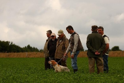 des Pays de Loire - Résultats T.A.N. 44 à Malville - le dimanche 08 juillet 2012