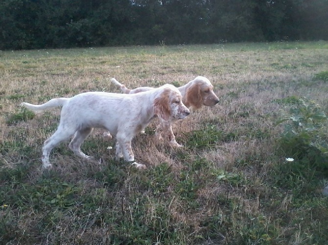 des Pays de Loire - LILLY WOOD  &  LINNA 