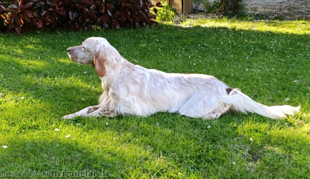 des Pays de Loire - 09.12.2025_Huelgoat