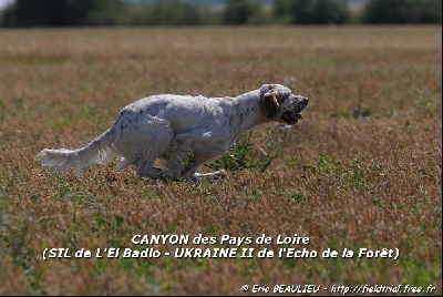 des Pays de Loire - CANYON  -  Printemps 2010