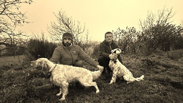 des Pays de Loire - 10.11.2017_Field sur Bécasse de Vassiviere