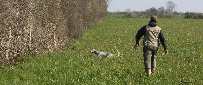 des Pays de Loire -  Printemps 2011