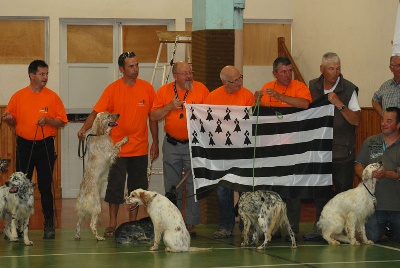 des Pays de Loire - Finale de la Coupe de France des novices 2011