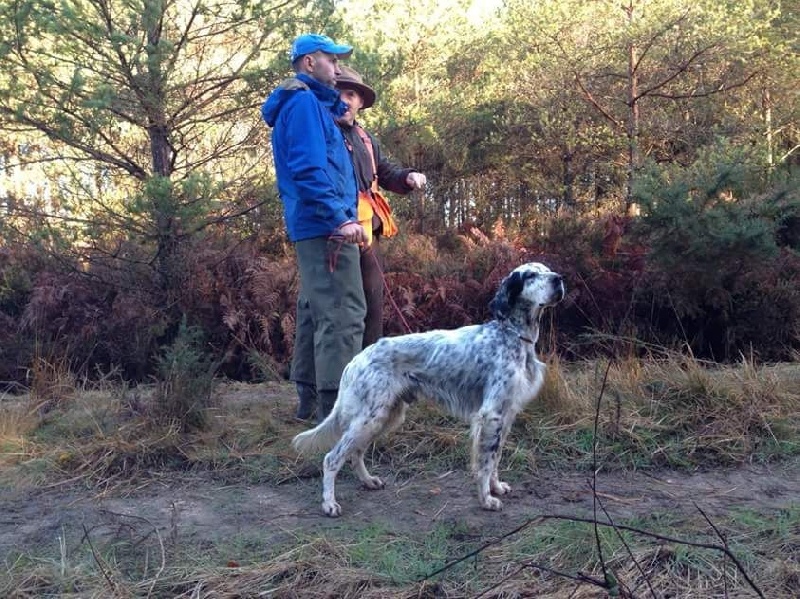 Field Trial Bécasses 2015